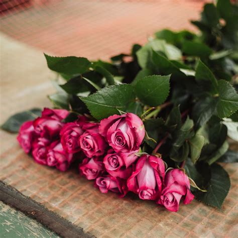 ponte tresa roses.